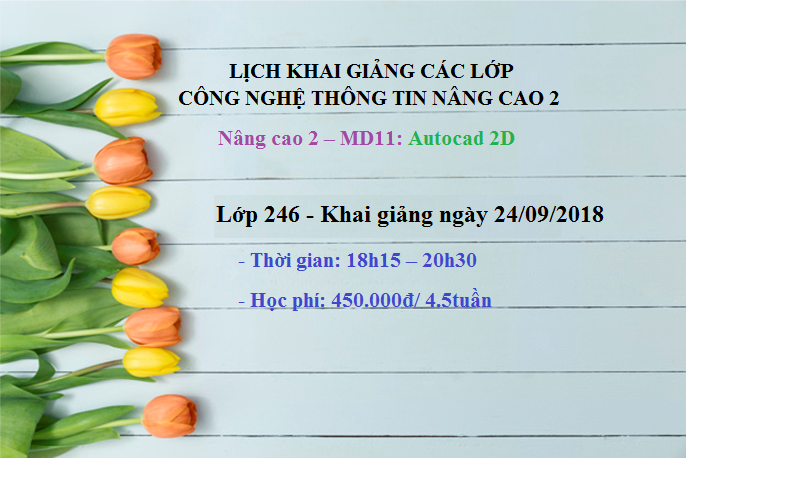 cnttnc2-cad