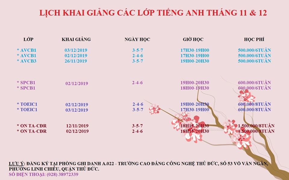 t. anh t11-12